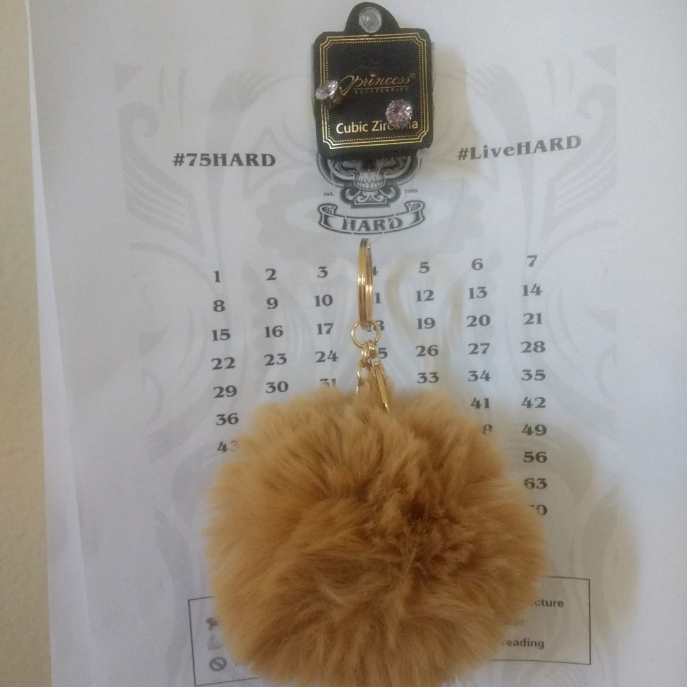 3/$8 Puffy Keychain and Studded Earrings